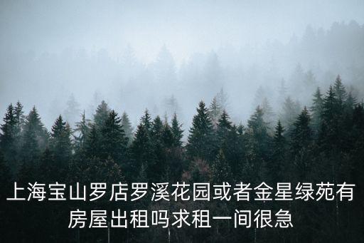 上海市羅店店鋪出租信息，上海寶山羅店租房一般多少錢