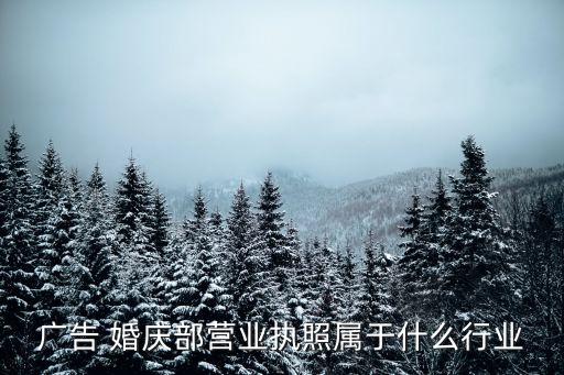 婚慶行業(yè),現(xiàn)代服務業(yè)沒有婚禮慶流程新人婚慶不會認可自己身份