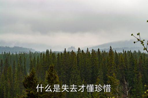 失去才懂，為什么失去才懂得