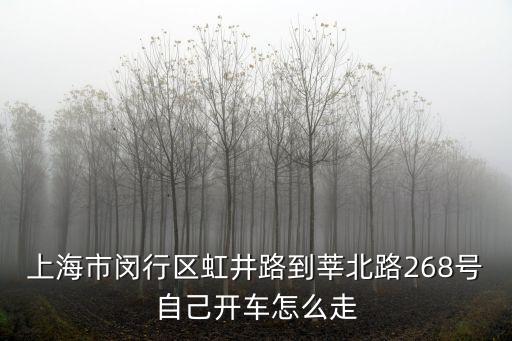 上海市閔行區虹井路到莘北路268號自己開車怎么走