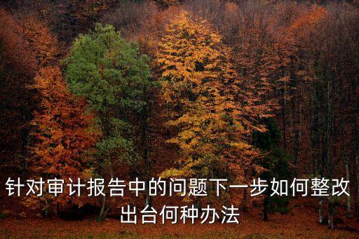 針對審計報告中的問題下一步如何整改出臺何種辦法