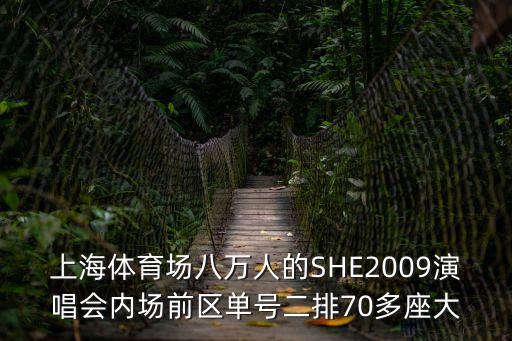 上海體育場八萬人的SHE2009演唱會內場前區單號二排70多座大