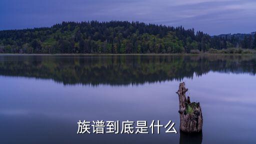 族譜到底是什么