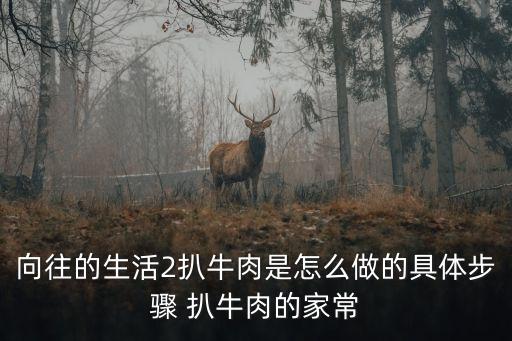 向往的生活2扒牛肉是怎么做的具體步驟 扒牛肉的家常