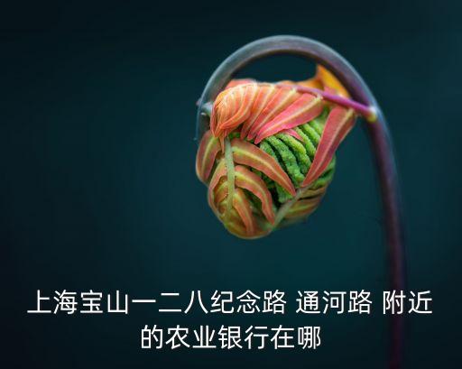 上海寶山一二八紀(jì)念路 通河路 附近的農(nóng)業(yè)銀行在哪