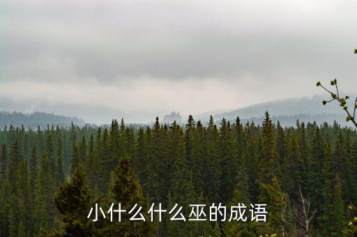 小什么什么巫的成語