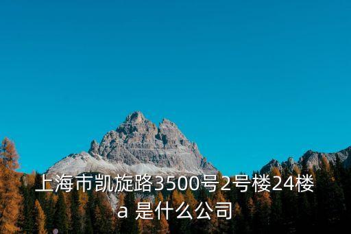 上海市凱旋路3500號2號樓24樓a 是什么公司