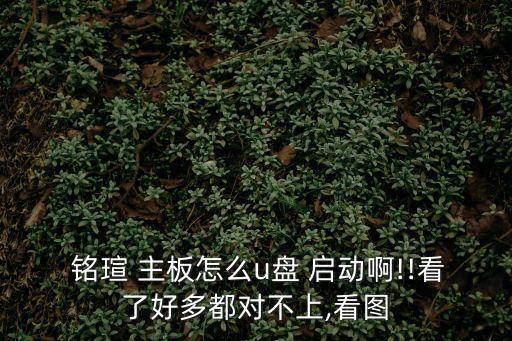  銘瑄 主板怎么u盤 啟動啊!!看了好多都對不上,看圖