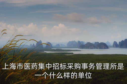 上海市醫藥集中招標采購事務管理所是一個什么樣的單位
