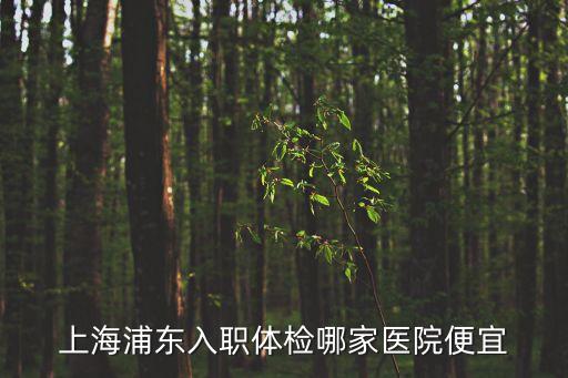 上海浦東入職體檢哪家醫(yī)院便宜