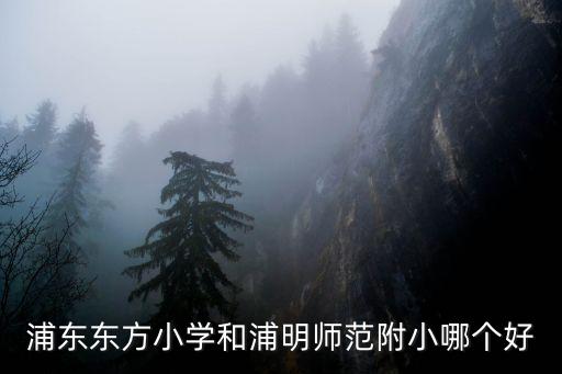 浦東東方小學和浦明師范附小哪個好
