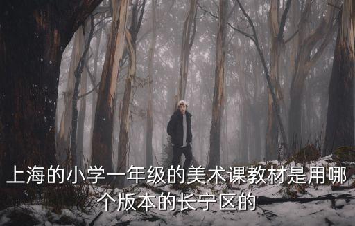 上海市小學美術課程綱要，上海的小學一年級的美術課教材是用哪個版本的長寧區的