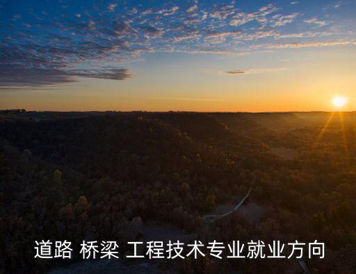 道路橋梁工程技術,高級技術應用型專業人才受聘于公路交通部門