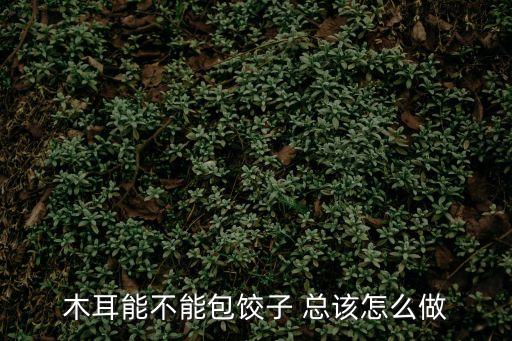 木耳能不能包餃子 總該怎么做