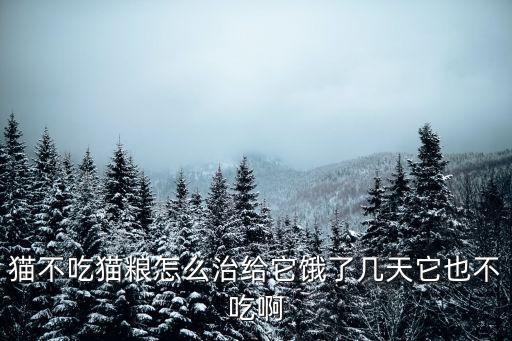 貓寧愿餓著也不吃貓糧，我家貓貓十歲了最近不好好吃貓糧寧愿餓肚也不吃好奇怪啊大家有