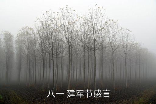  八一 建軍節感言