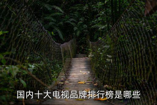 國(guó)內(nèi)十大電視品牌排行榜是哪些