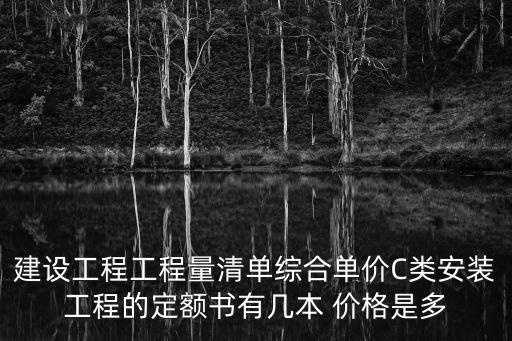 建設(shè)工程工程量清單綜合單價(jià)C類安裝工程的定額書有幾本 價(jià)格是多
