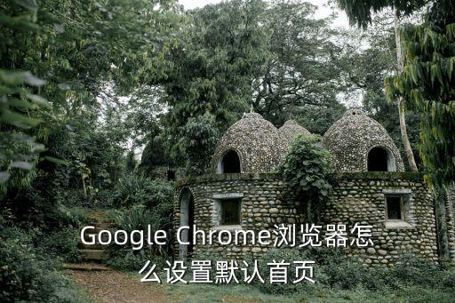 Google Chrome瀏覽器怎么設置默認首頁
