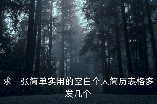求一張簡單實用的空白個人簡歷表格多發幾個