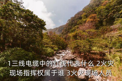 1三線電纜中的紅線代表什么 2火災現場指揮權屬于誰 3火災現場人員
