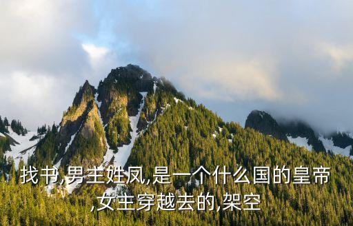 鳳再上,偽男皇帝冷妮皇后言情小說