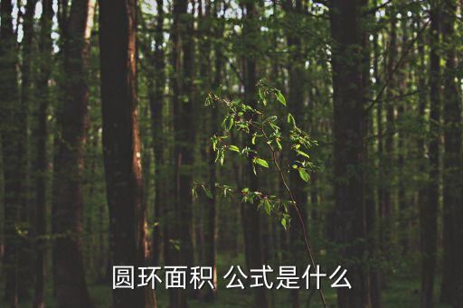 圓公式,圓環面積公式:外圓加內圓的和除去三分之一