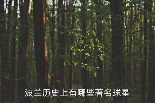 博涅克,波蘭足球史上最偉大球員之一博涅克打入24球
