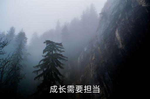 成長需要擔當，成長需要擔當
