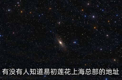 有沒有人知道易初蓮花上海總部的地址