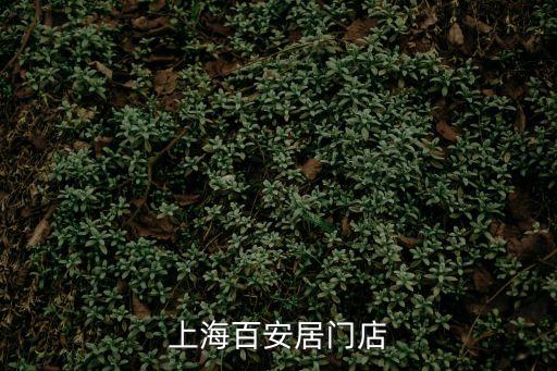 上海市閔行區莘莊百安居，上海百安居