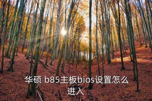 華碩b85,華碩b85如何進(jìn)行bios設(shè)置?