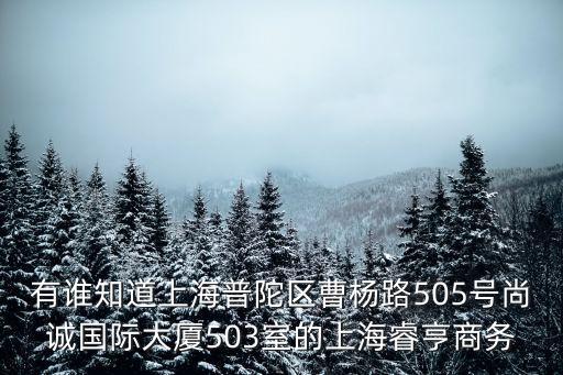 有誰知道上海普陀區曹楊路505號尚誠國際大廈503室的上海睿亨商務