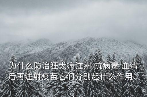為什么防治狂犬病注射 抗病毒 血清后再注射疫苗它們分別起什么作用...
