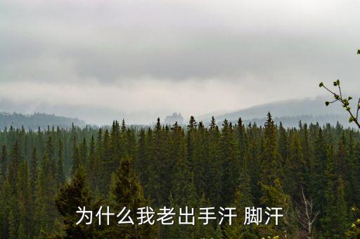 為什么我老出手汗 腳汗