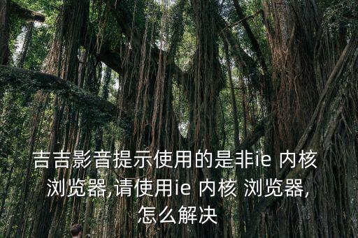 吉吉影音提示使用的是非ie 內核 瀏覽器,請使用ie 內核 瀏覽器,怎么解決