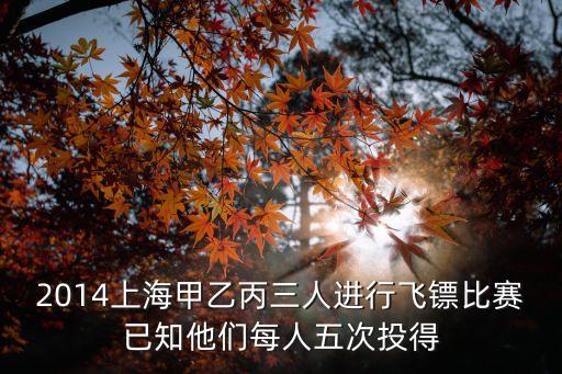 上海市飛鏢超級聯賽，竟技賽在那