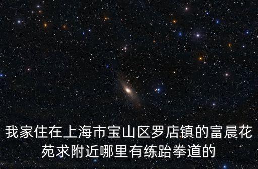 我家住在上海市寶山區(qū)羅店鎮(zhèn)的富晨花苑求附近哪里有練跆拳道的
