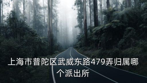上海市普陀區武威東路479弄歸屬哪個派出所