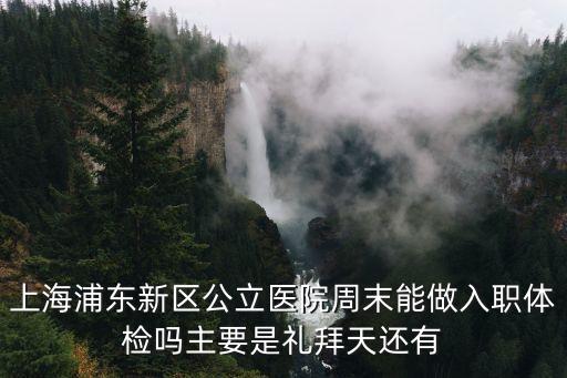 上海浦東新區公立醫院周末能做入職體檢嗎主要是禮拜天還有