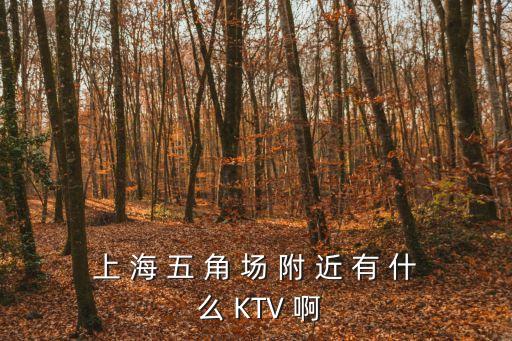 上海市五角場純K，上海 楊浦區 五角場這的KFC多少錢一小時