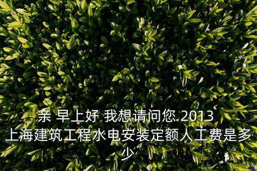 親 早上好 我想請問您 2013 上海建筑工程水電安裝定額人工費是多少