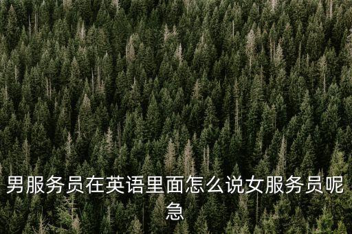 男服務員在英語里面怎么說女服務員呢急