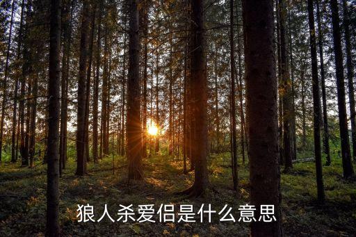 狼人殺愛侶是什么意思