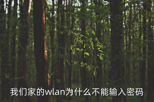 我們家的wlan為什么不能輸入密碼