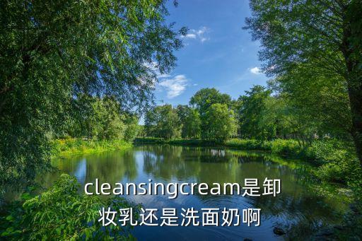 cleansing,洗面奶知多少?看這里!