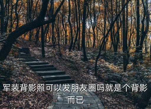 軍人背影，春節(jié)馬上過去了寫一篇描寫軍人的詩歌