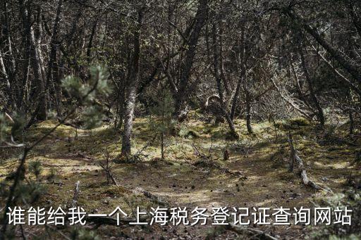 誰能給我一個上海稅務登記證查詢網站