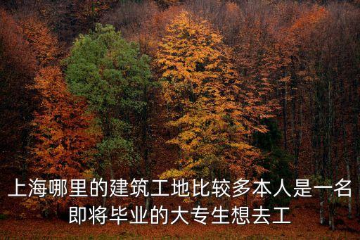 上海哪里的建筑工地比較多本人是一名即將畢業的大專生想去工