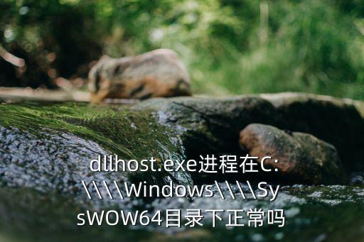  dllhost.exe進程在C:\\\\Windows\\\\SysWOW64目錄下正常嗎